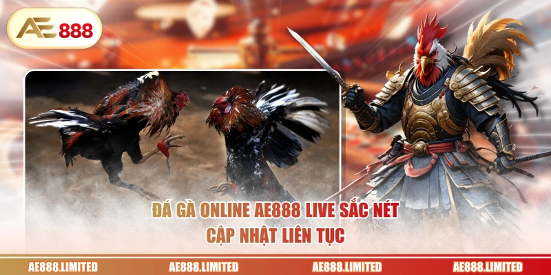 Đá gà online AE888 live sắc nét cập nhật liên tục